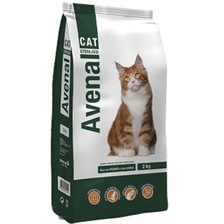 Avenal Cat
