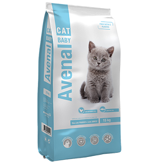 Avenal Cat