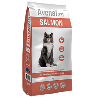 Avenal Cat